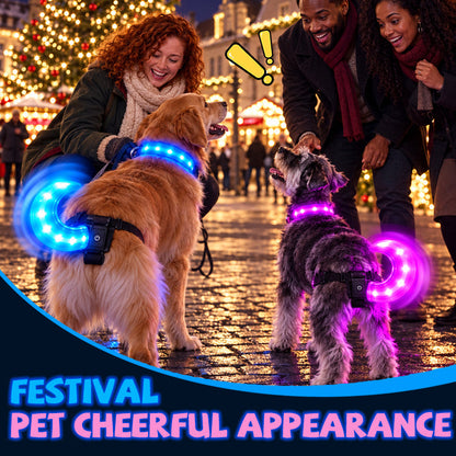 LED Dog Collar & Light-Up Tail Set