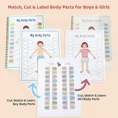 Human Anatomy Busy Book