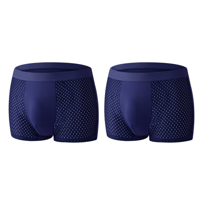 🔥 Bestseller Premium Leakproof Ice Silk Mesh Men's Boxer Briefs