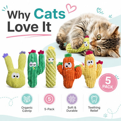 🌵 5 Pack Organic Catnip Cactus Cat Toys | Soft Plush Chew Toys for Indoor Kittens & Adult Cats! 🐱