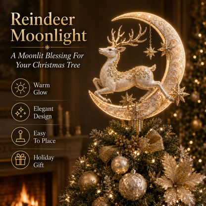 🎄Meaningful Christmas Tree Topper Collection– Lighted Holiday Keepsakes