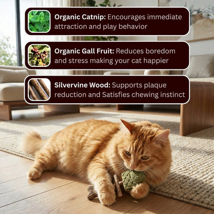 🔥Day Sale 50% OFF-Catnip & Silvervine Chew