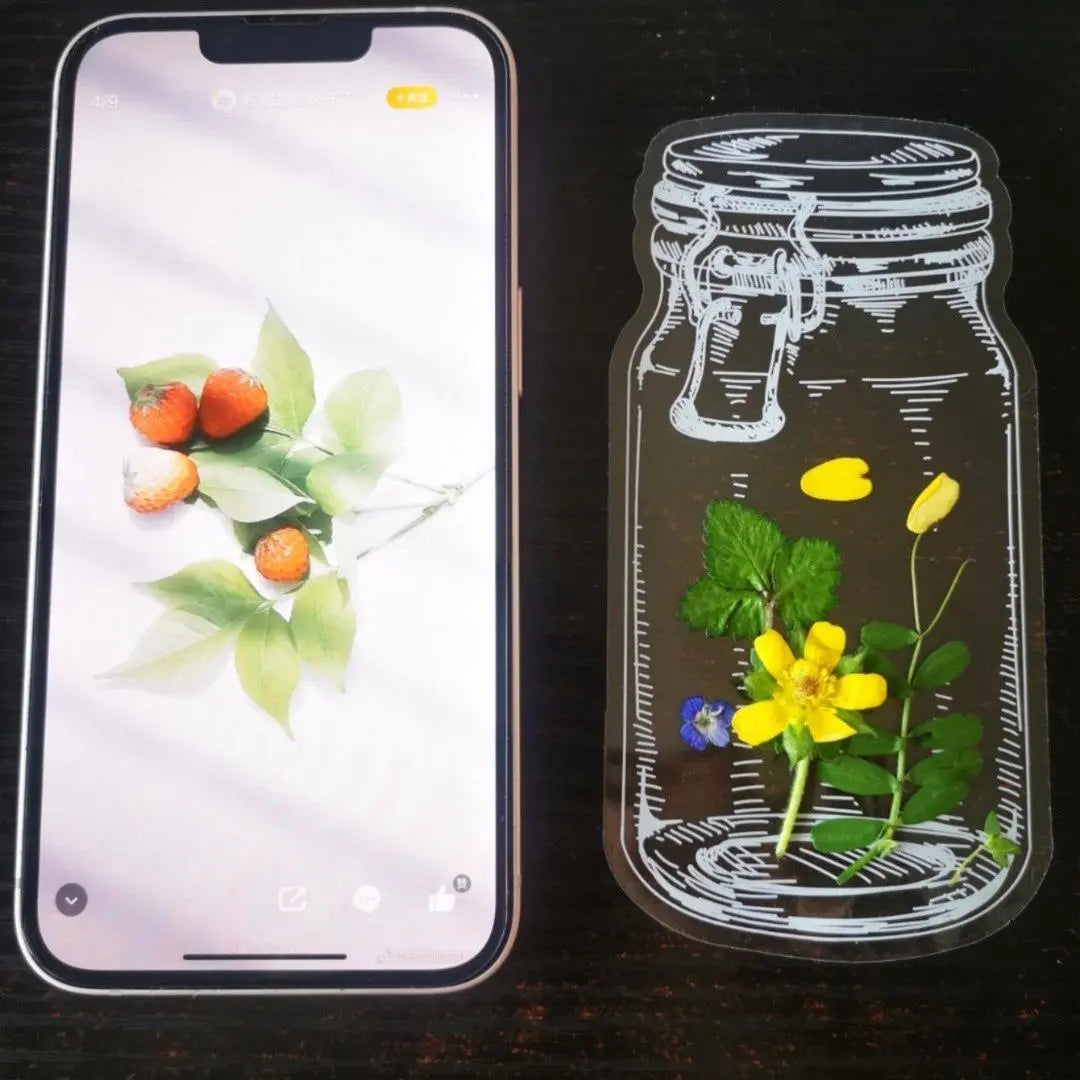 💐🌷40pcs Transparent Dried Flower Bookmarks-DIY Gifts Bookmarks