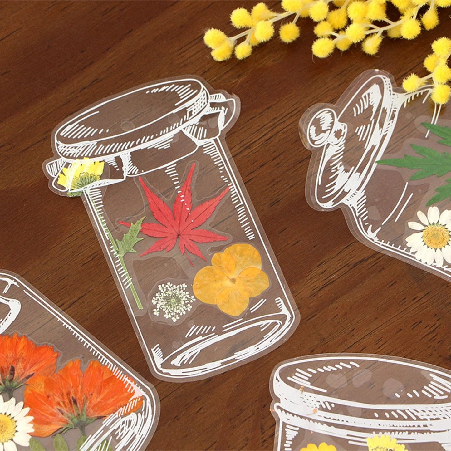 💐🌷20pcs Transparent Dried Flower Bookmarks-DIY Gifts Bookmarks