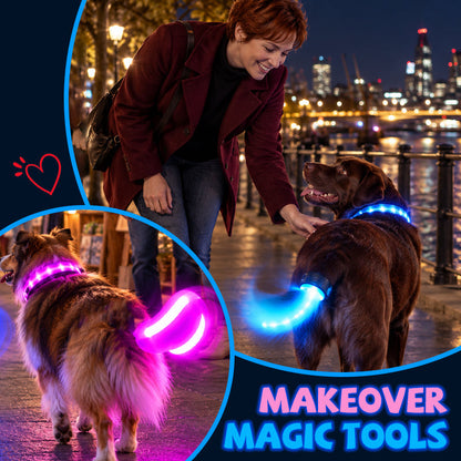 LED Dog Collar & Light-Up Tail Set