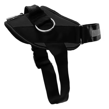 🔥Last Day 50% OFF ❤️No-Pull Dog Harness – 3-Point Leash Control. Reflective & Adjustable