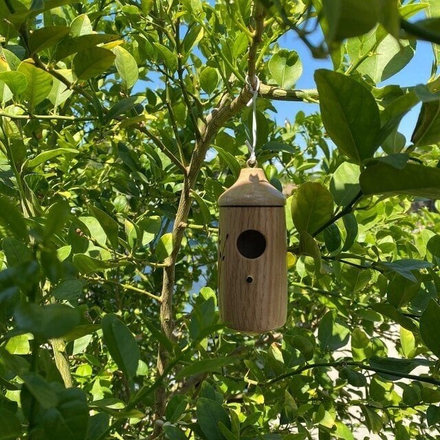 Buy 2 Free Shipping💕Wooden Hummingbird House-Gift for Nature Lovers