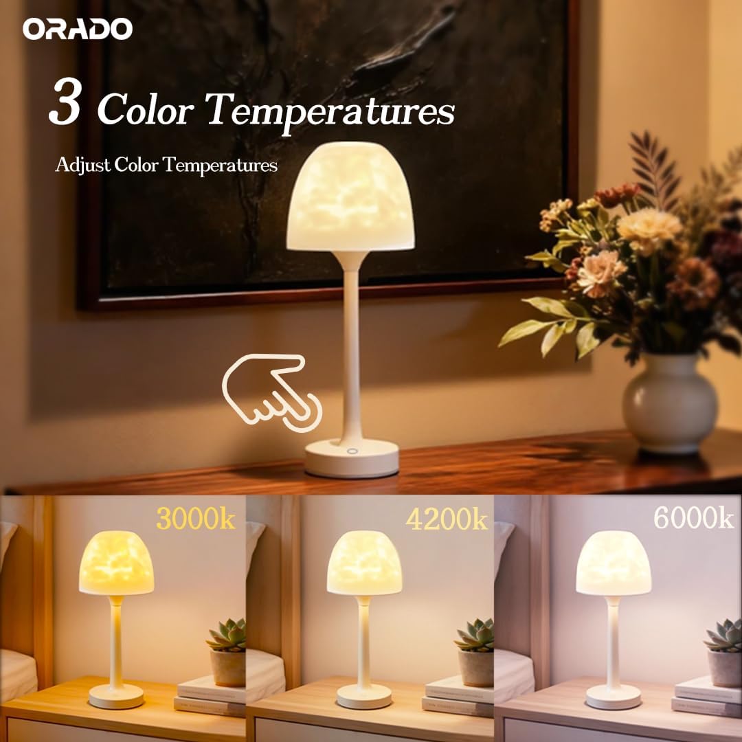 💡🪼IP65 Waterproof Rotating Aurora Water Ripple Desk Lamp