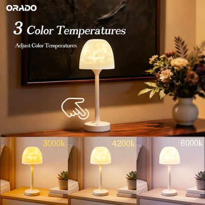 💡🪼IP65 Waterproof Rotating Aurora Water Ripple Desk Lamp