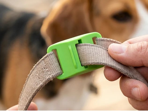 ⏰Last Day 70% OFF-🐕12 Months Flea and Tick Free