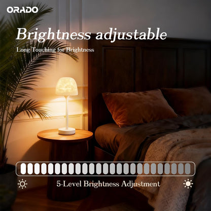 💡🪼IP65 Waterproof Rotating Aurora Water Ripple Desk Lamp