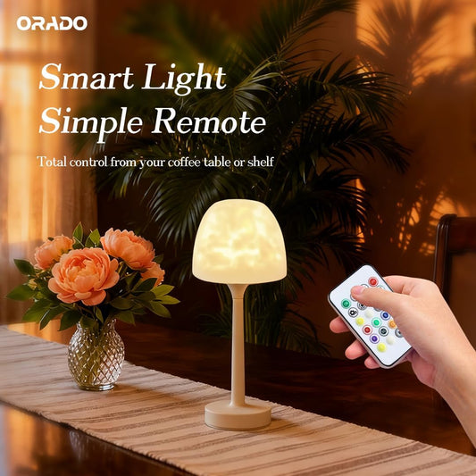 💡🪼IP65 Waterproof Rotating Aurora Water Ripple Desk Lamp