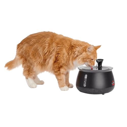 Cat Water Fountain – Fresh, Filtered Water with Ultra-Quiet Wireless Pump