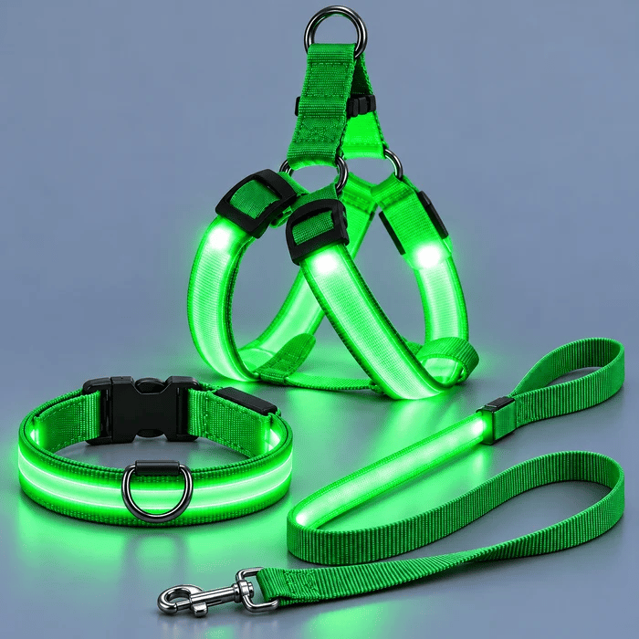 🐕 3-Piece Rechargeable LED Dog Walking Kit ✨ Light-Up Harness, Collar & Leash for Safer Night Walks！！！