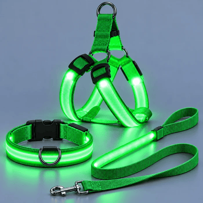 🐕 3-Piece Rechargeable LED Dog Walking Kit ✨ Light-Up Harness, Collar & Leash for Safer Night Walks！！！