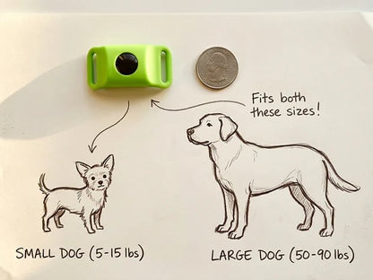 ⏰Last Day 70% OFF-🐕12 Months Flea and Tick Free