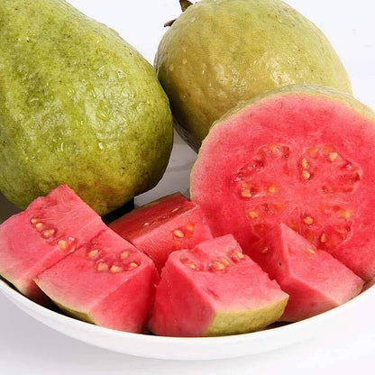 🔥Buy 2 Save 10%💚Organic Guava Seeds🌱 Easy Grow