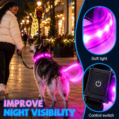 LED Dog Collar & Light-Up Tail Set