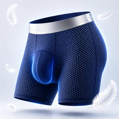 🔥 Bestseller Premium Leakproof Ice Silk Mesh Men's Boxer Briefs