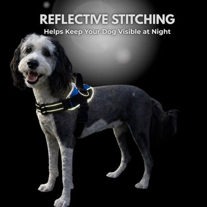 🔥Last Day 50% OFF ❤️No-Pull Dog Harness – 3-Point Leash Control. Reflective & Adjustable