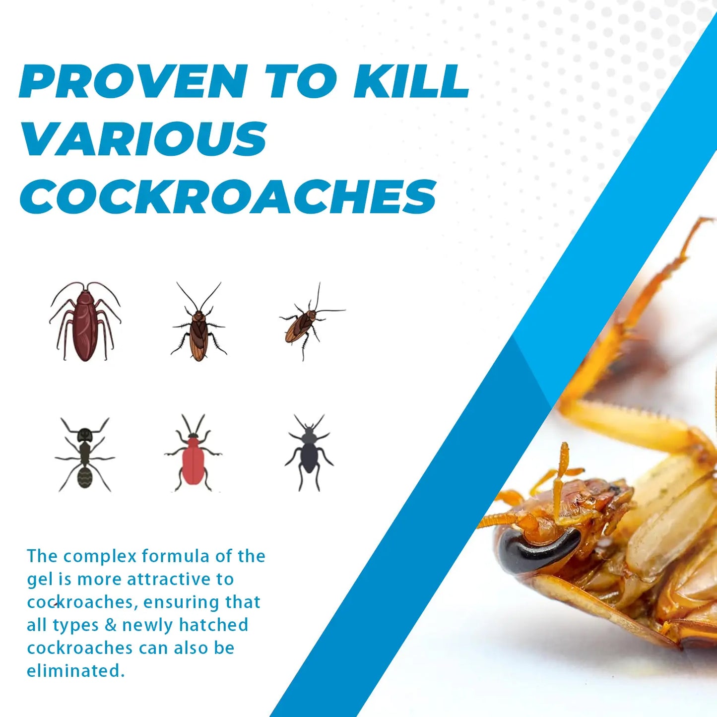 Cockroach Gel Bait 30g Roach Killer