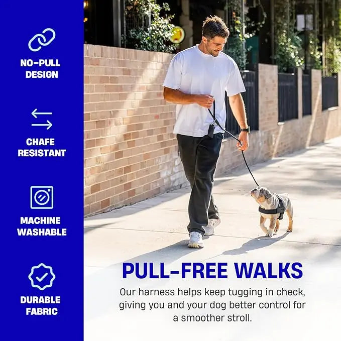 🐾 Dog Friendly Co. Harness– Safe, Secure & Ultra-Comfortable Fit for All Dogs