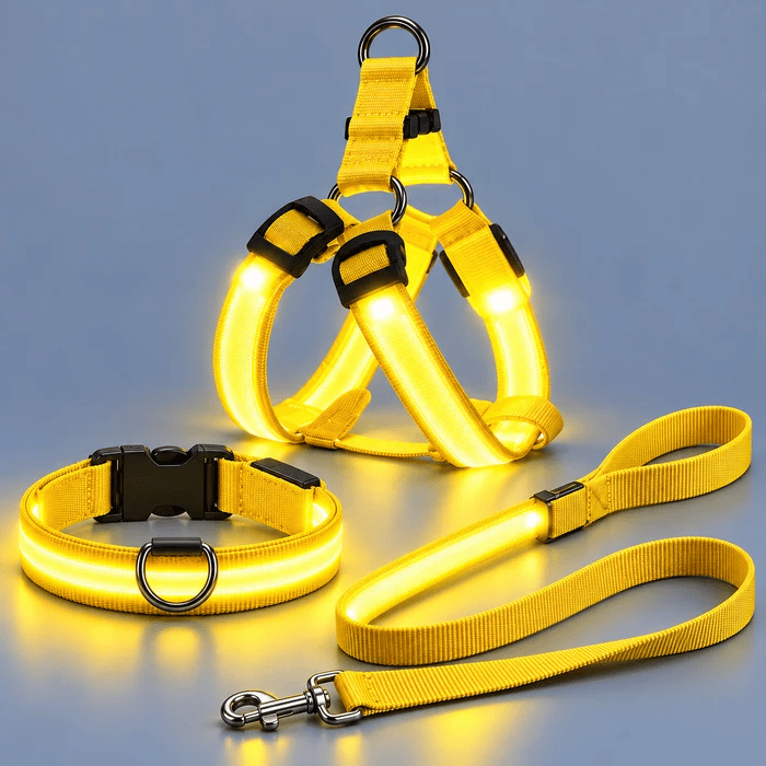 🐕 3-Piece Rechargeable LED Dog Walking Kit ✨ Light-Up Harness, Collar & Leash for Safer Night Walks！！！