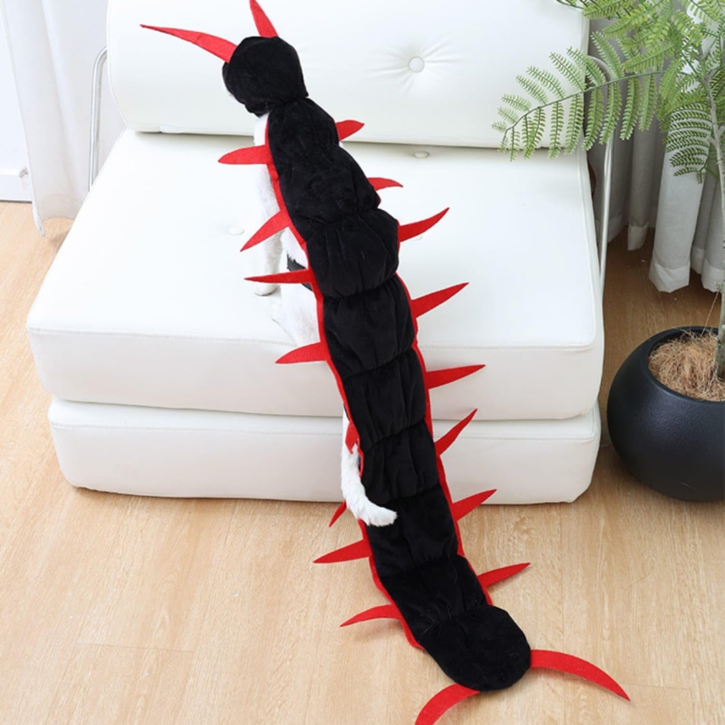 Polyester Centipede Cat Costume Red Trim Padded Cat Costume Quilted Devil Cape Cloak Black
