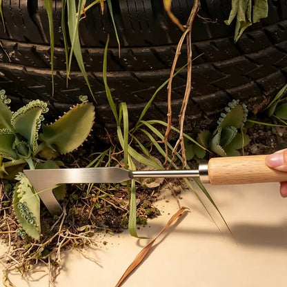 Wooden Handle Crevice Weeder