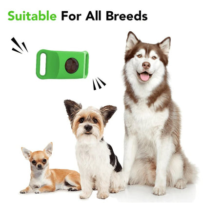 ⏰Last Day 70% OFF-🐕12 Months Flea and Tick Free