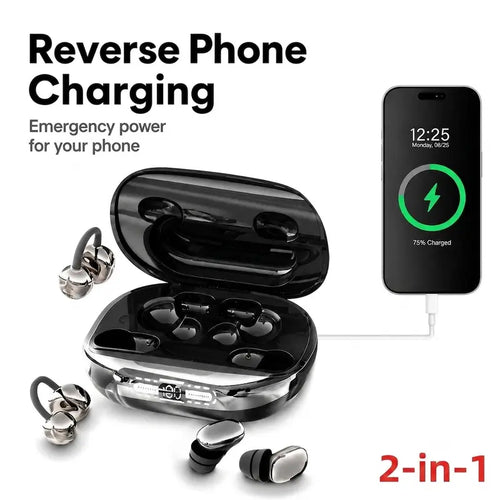 Bluetooth Wireless Earbuds with Chargeable Power Bank Case
