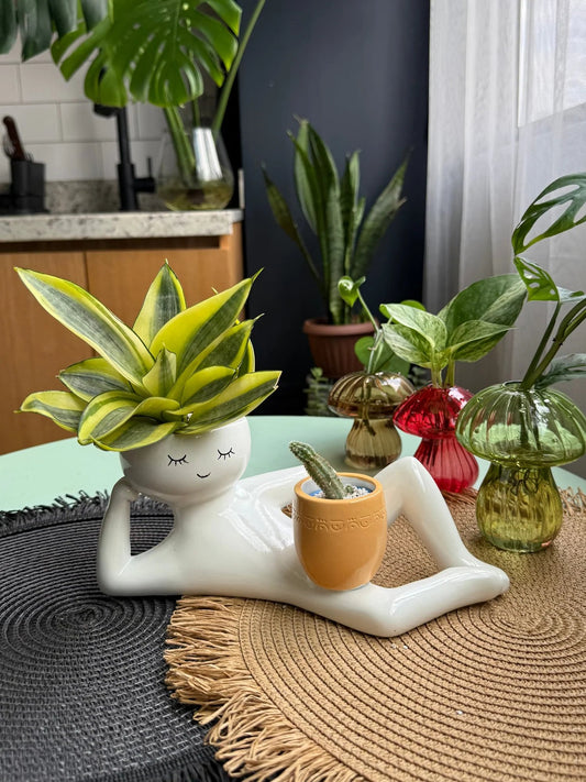 🏆Flash Sale⚡50K+ SOLD!😂Lazy Guy Pot🌵