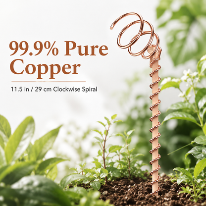 6PCS Electroculture Copper Antenna – 99.9% Pure Copper Coil – Boost Plant Growth