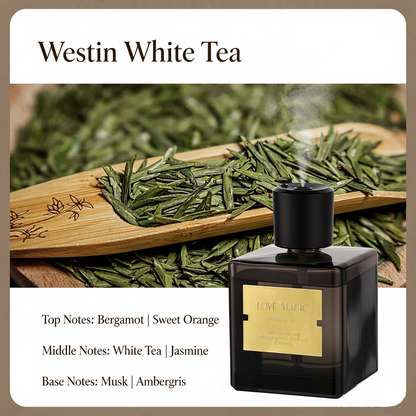 🔥Refillable Essential Oil Scent Diffuser