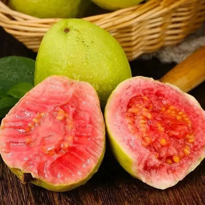 🔥Buy 2 Save 10%💚Organic Guava Seeds🌱 Easy Grow