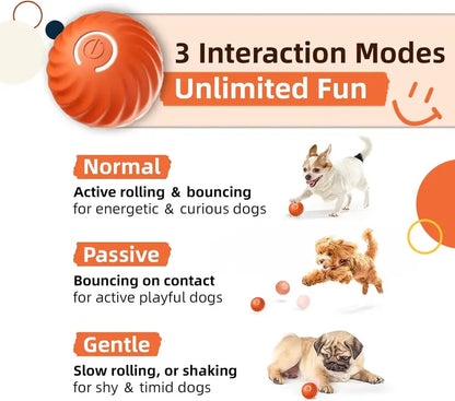 Interactive Dog Dog Balls, 2.7 in Moving Dog Ball, Durable Motion Activated Automatic Rolling Ball , USB Rechargeable