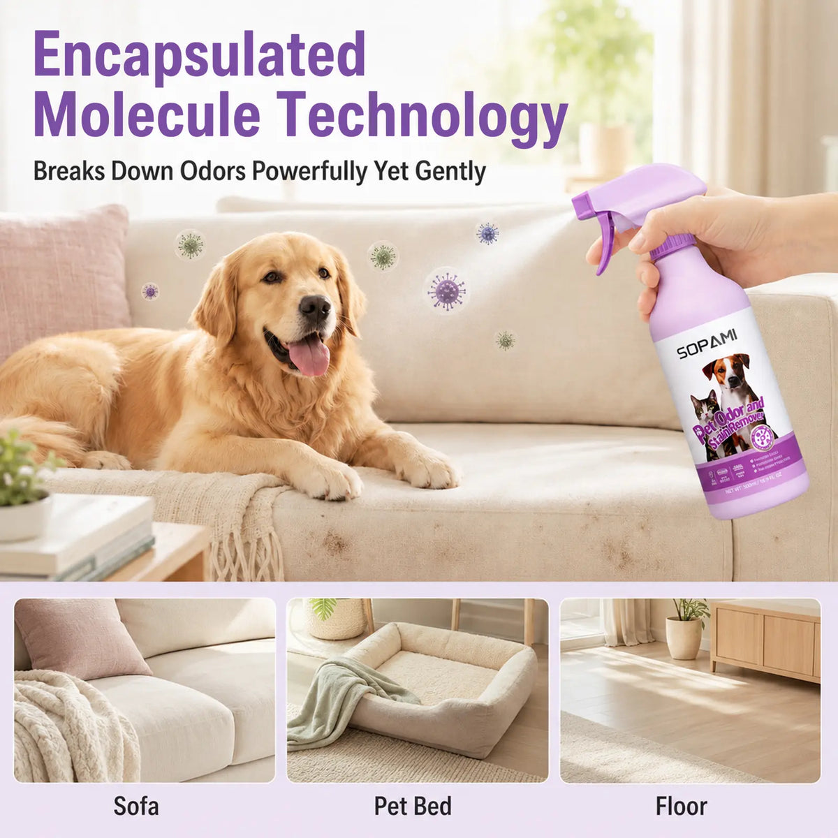 Pet Odor Eliminator & Stain Remover Spray