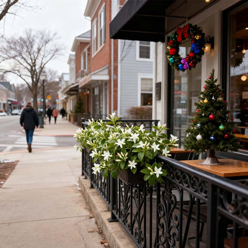 🏆Flash Sale⚡ 50K+ SOLD! Home Grow Jasmine Flower Seeds (Buy 1 Get 1 Free)