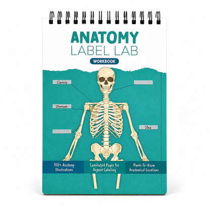Anatomy Label Lab Workbook – Reusable Anatomy Study Guide