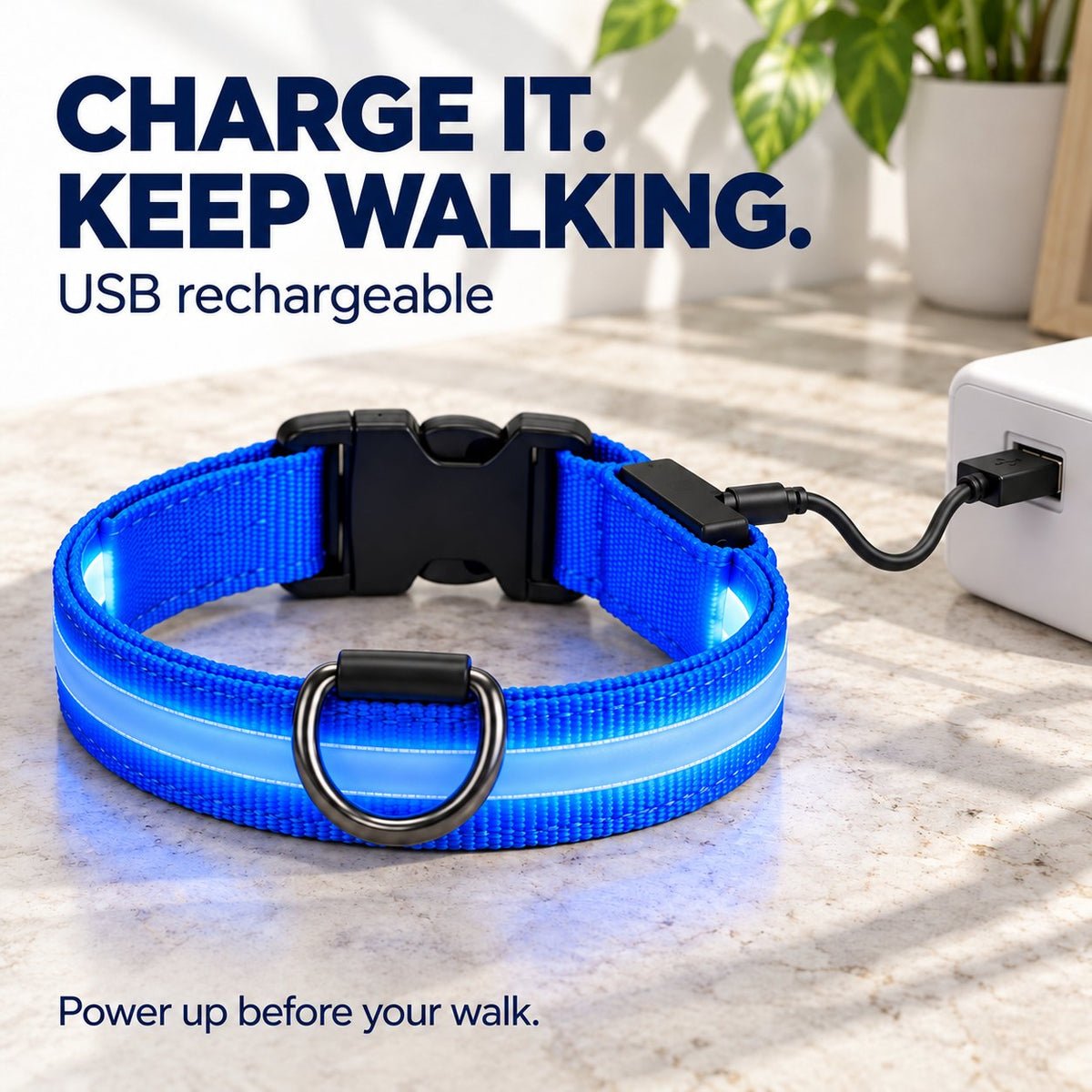 🐕 3-Piece Rechargeable LED Dog Walking Kit ✨ Light-Up Harness, Collar & Leash for Safer Night Walks！！！