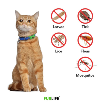 ⏰Last Day 70% OFF-🐕12 Months Flea and Tick Free