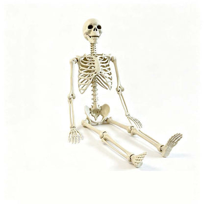 (🎁Last Day 49% OFF)💀Backseat Bones-Skeleton passenger