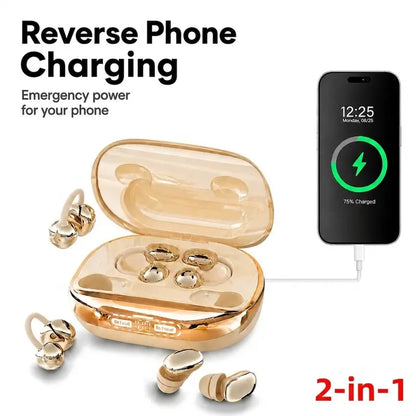 Bluetooth Wireless Earbuds with Chargeable Power Bank Case