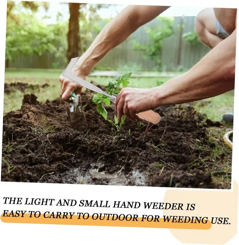 L-Shaped Stainless Steel Crevice Weeding Tool