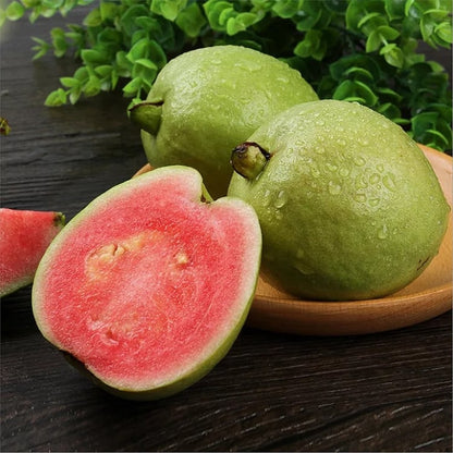 🔥Buy 2 Save 10%💚Organic Guava Seeds🌱 Easy Grow