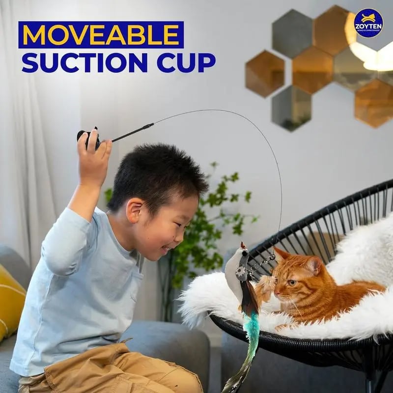 💖Cat Toy Wand Auto Interactive Toys for Indoor Cat 8 in 1 Hands-Free Natural Bird Feather Ball Toys
