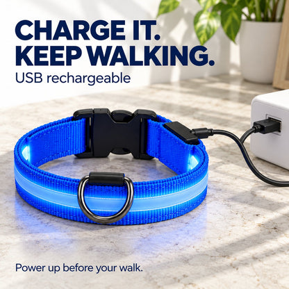 🐕 3-Piece Rechargeable LED Dog Walking Kit ✨ Light-Up Harness, Collar & Leash for Safer Night Walks！！！