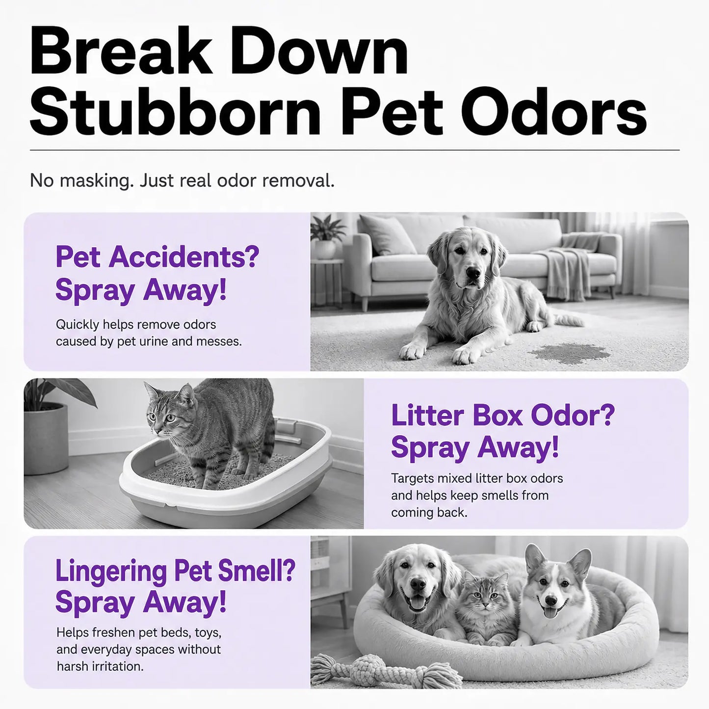 Pet Odor Eliminator & Stain Remover Spray