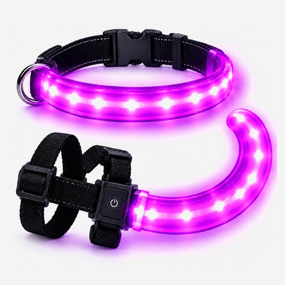 LED Dog Collar & Light-Up Tail Set