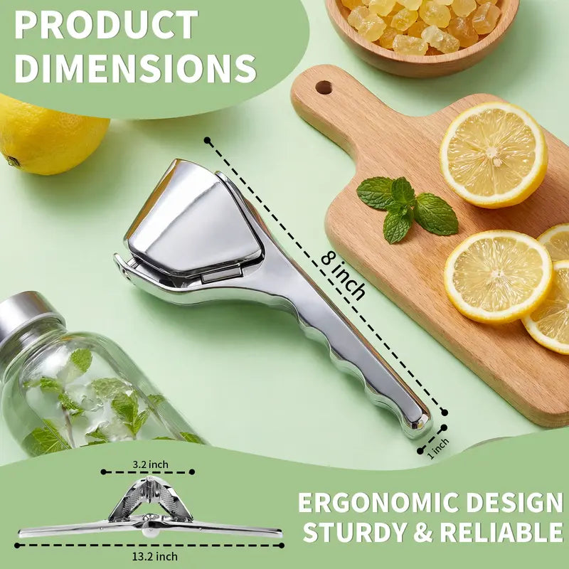 Stainless Steel Citrus Juicer